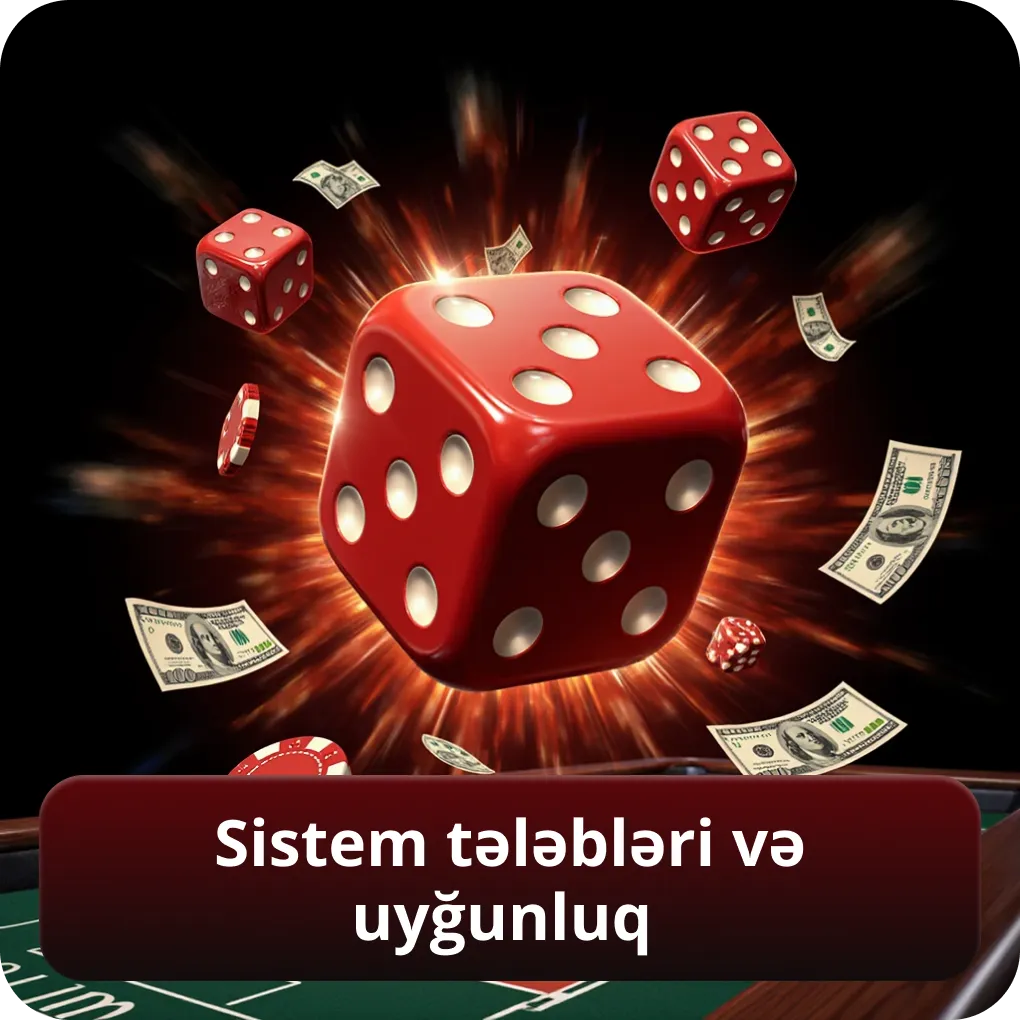 Sistem Tələbləri və Uyğunluq